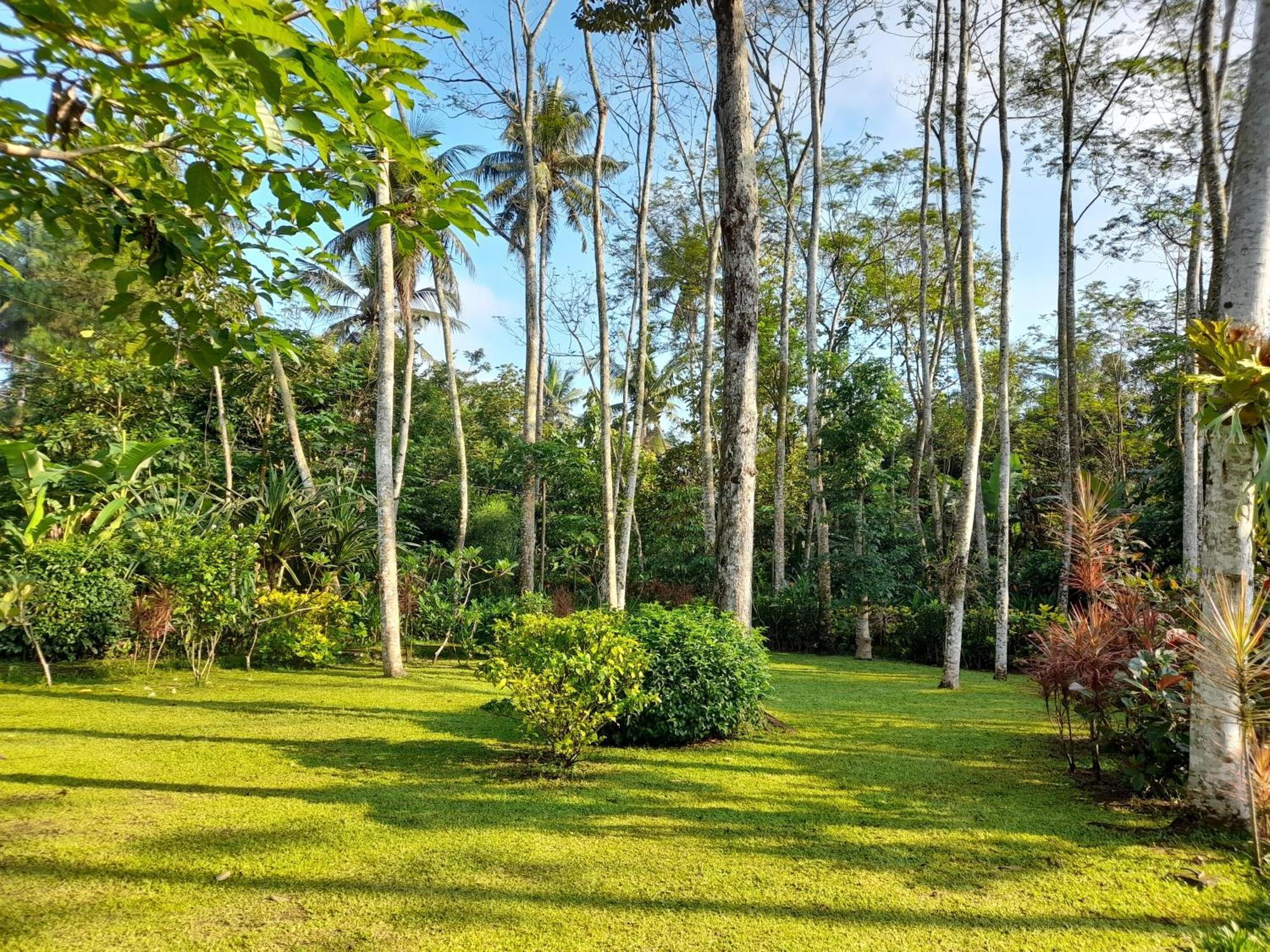 Hotel Ndalem Nitihardjan Magelang Exterior foto